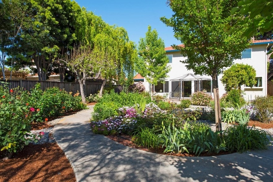 backyard - 600 Calpella Dr