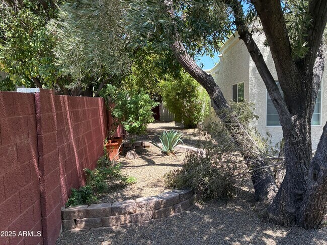 Building Photo - 8437 E San Benito Dr