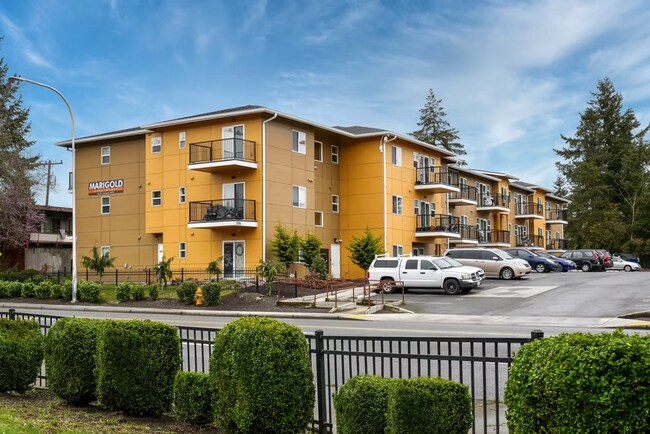 Building Photo - Discover Elevated Living at Marigold Apartments