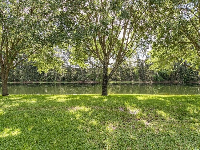 Building Photo - 556 Woodgate Cir