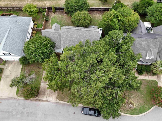 Building Photo - 319 Plantation Pkwy