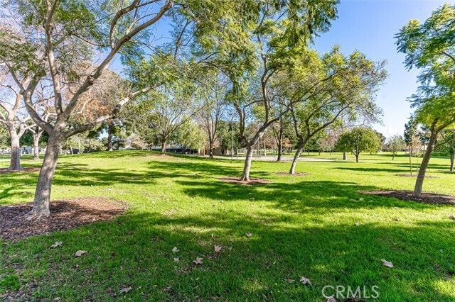 Building Photo - 23 Blazing Star