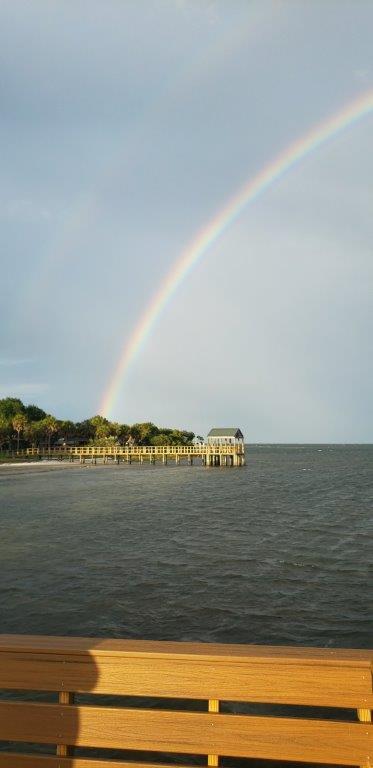 Building Photo - 650 Pinellas Point Dr S
