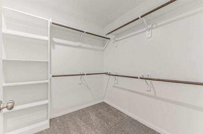 Building Photo - 17590 Rosette Grass Dr