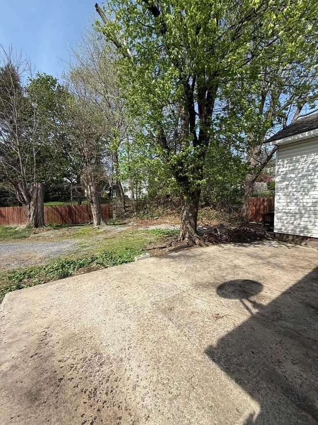 Building Photo - 2 Bedroom | 2 Bathroom Rear Apartment - Open-Concept Layout