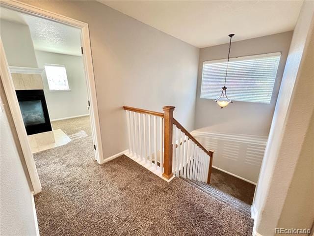 Building Photo - 5001 Laurelglen Ln