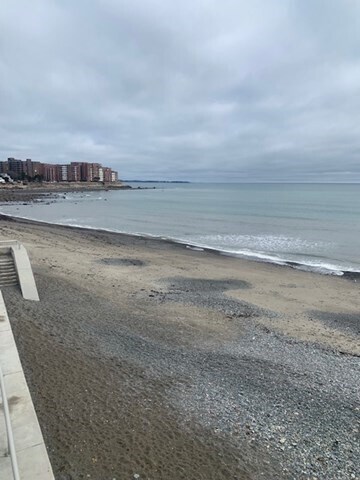 Building Photo - 20 Coral Ave