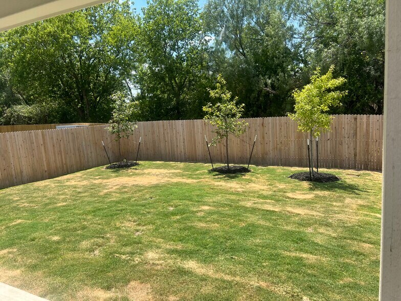 Back yard - 8123 Hamrick Cir