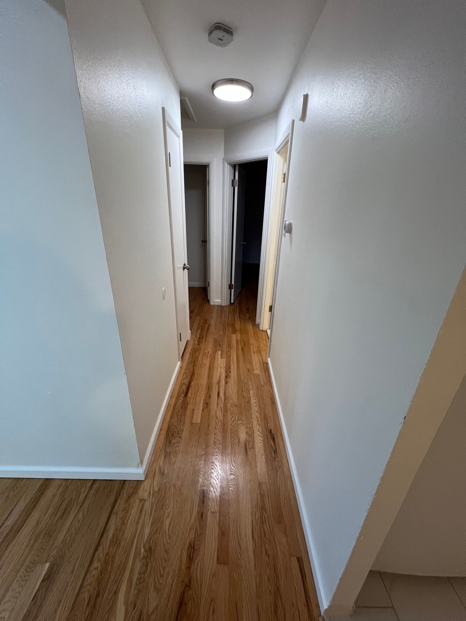 Hallway - 2120 Union Rd
