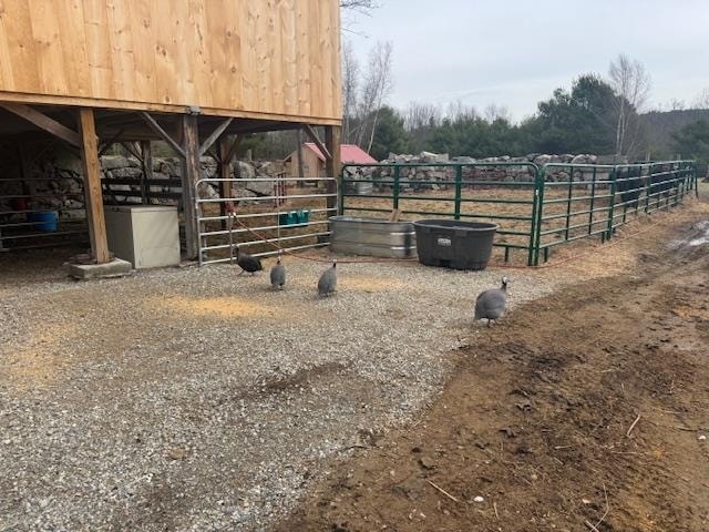 Building Photo - 125 Grapevine Rd