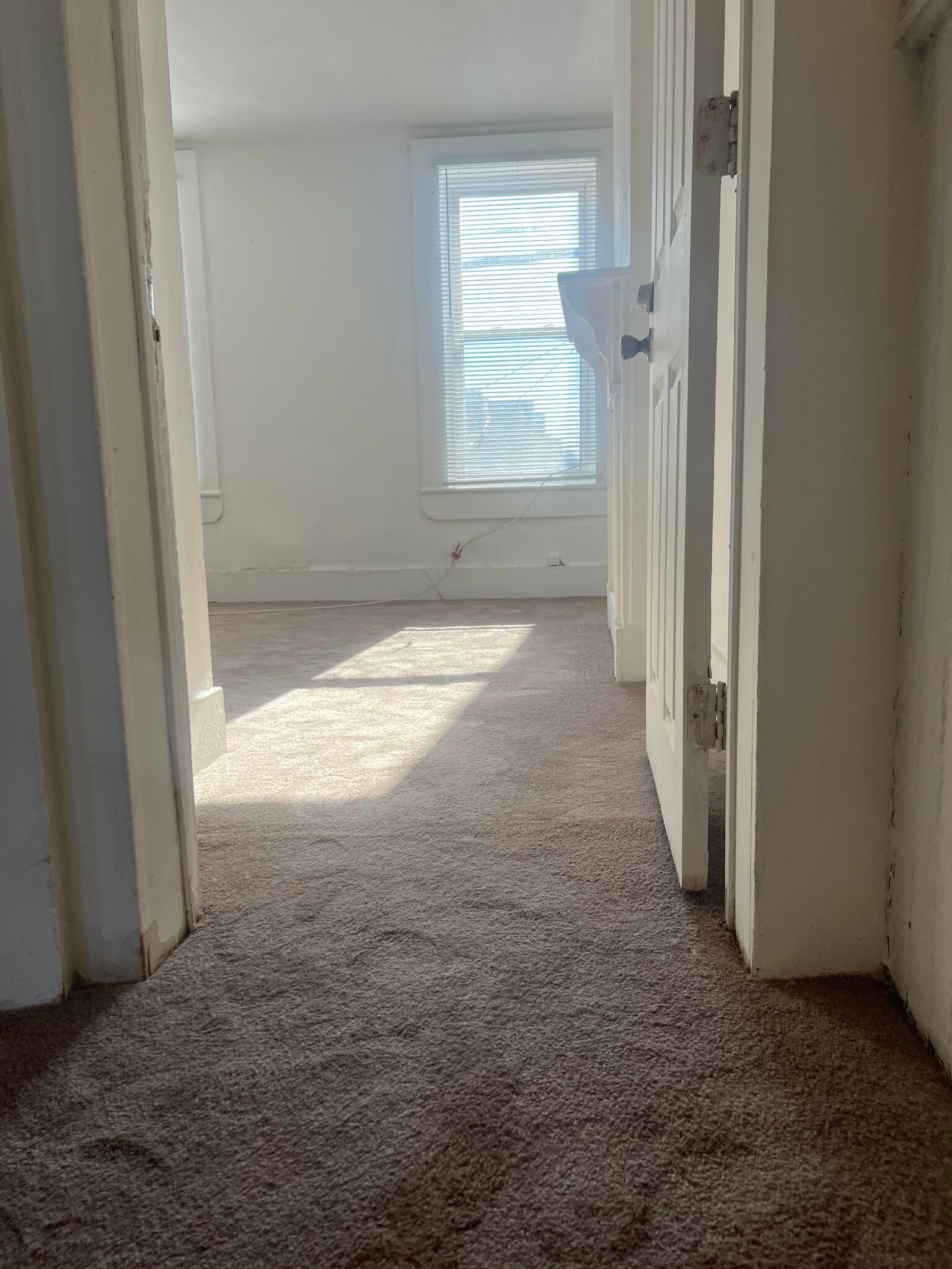 Building Photo - 916 Washington Ave