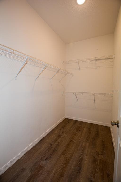 Building Photo - 1669 Way of Peace Ln