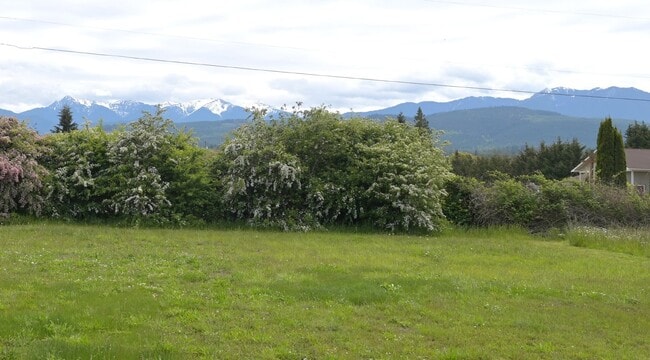 Building Photo - New 3 bed 2 bath home in Carlsborg