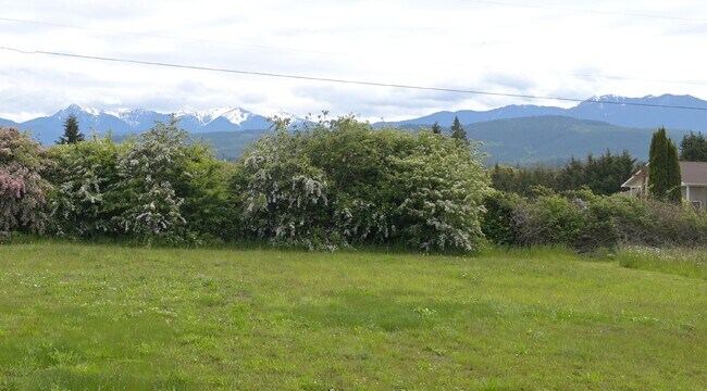 Building Photo - Newer 3 bed 2 bath home in Carlsborg