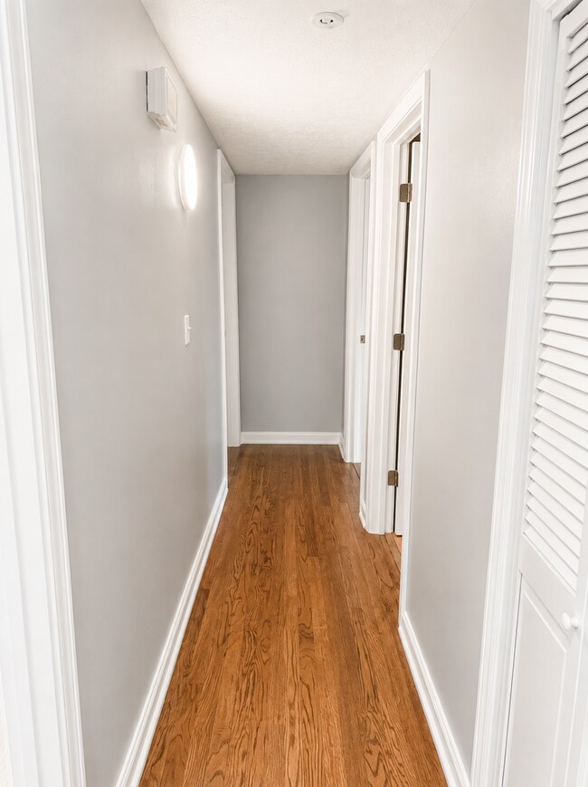 Building Photo - 5103 Mediterranean Ct