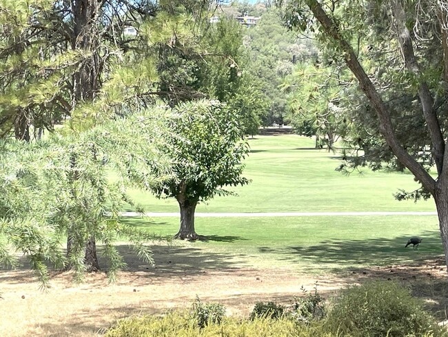 Building Photo - Golf course 3/2 home in Lake Wildwood, Pen...