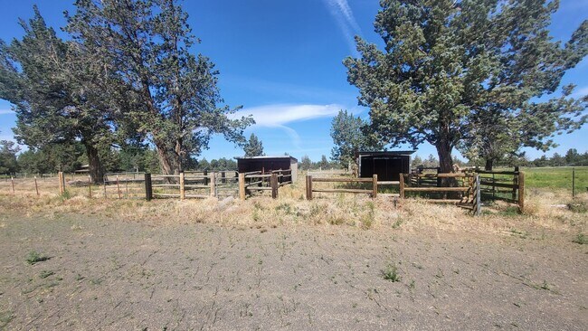 Building Photo - 4 bedroom 3 bath horse property- 6 acres i...