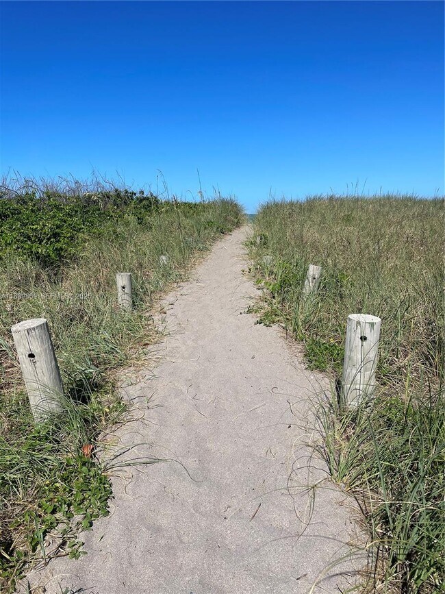 Building Photo - 1115 Hernando St