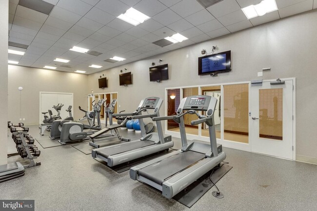 Building Photo - 1 bedroom 1 Bath - Highrise Luxury Living ...