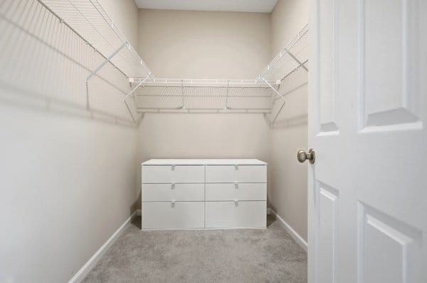 Building Photo - 515 Kilkenny Ct