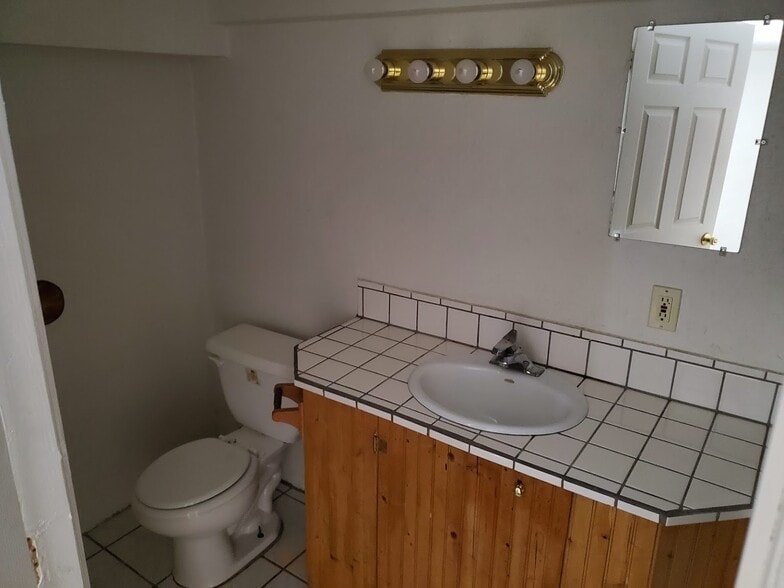 Downstairs Bathroom view 2 - 424 W Benton St