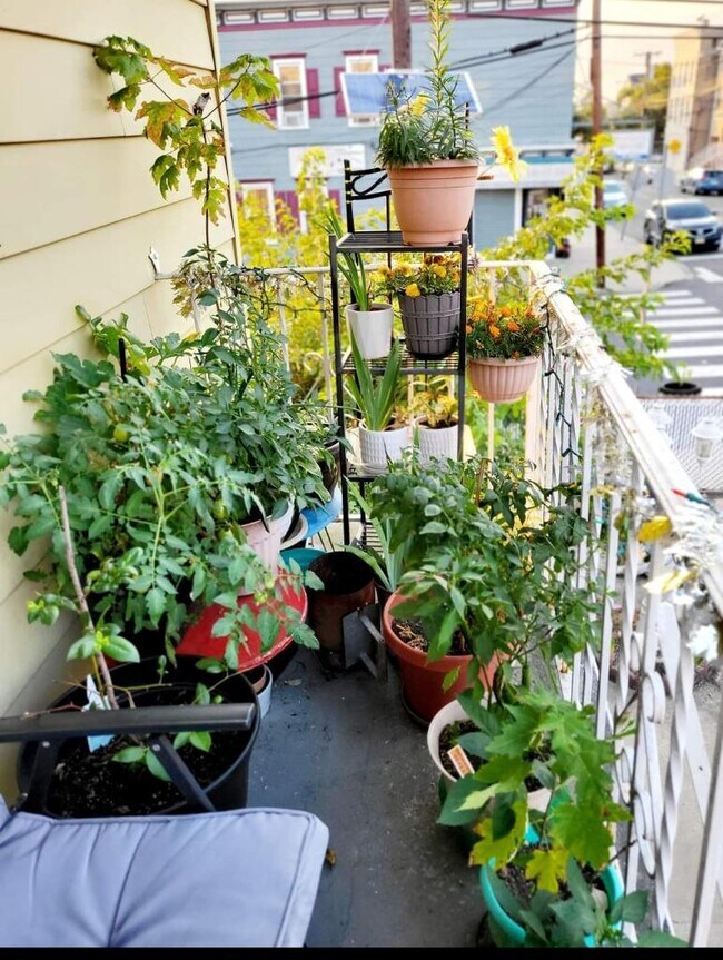 Building Photo - 89 McAdoo Ave