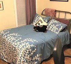 Images are representative samples of the advertised unit. Actual units shown during tours may differ - 233 Northampton St