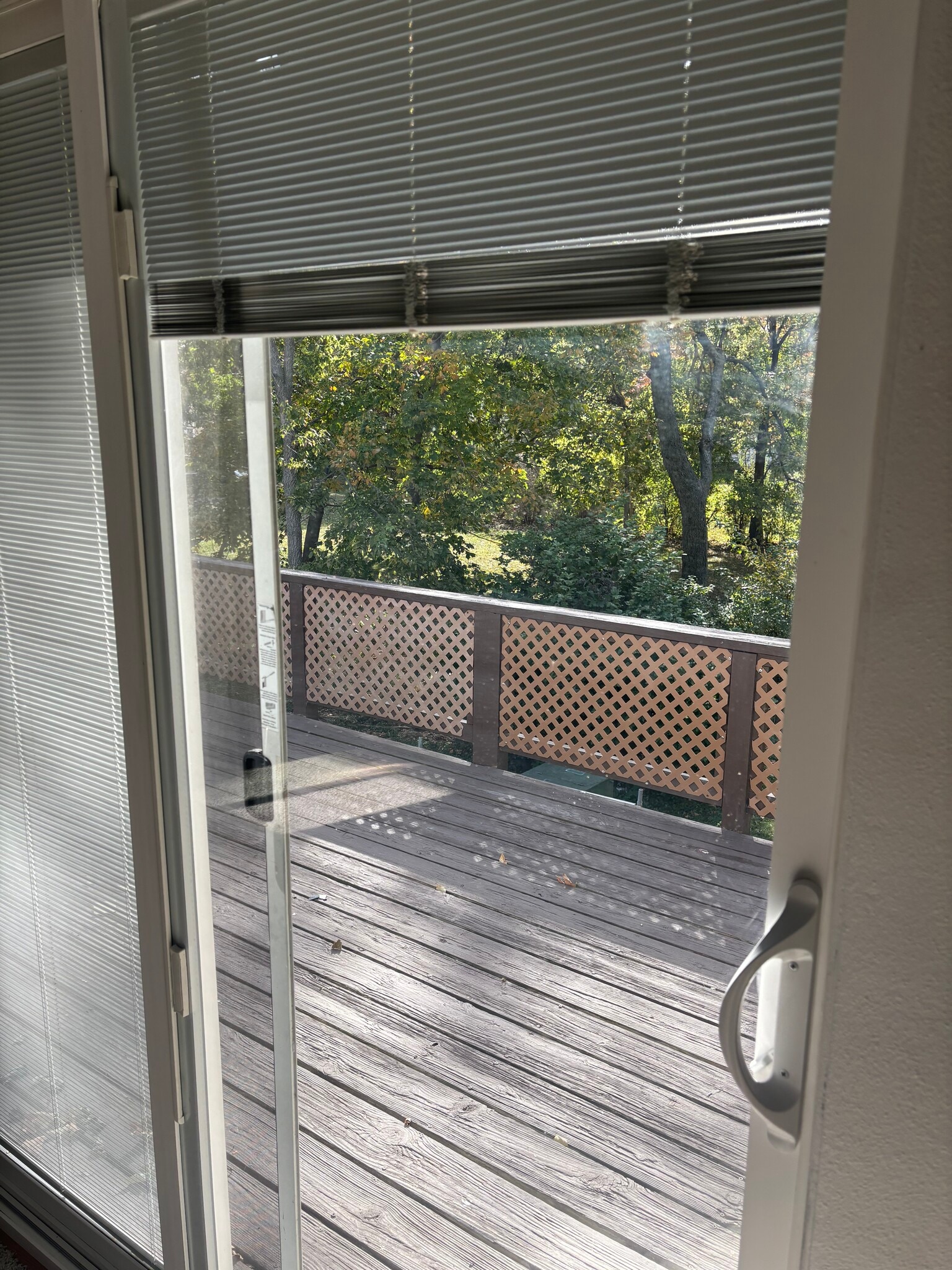 Deck off kitchen - 302 W State St