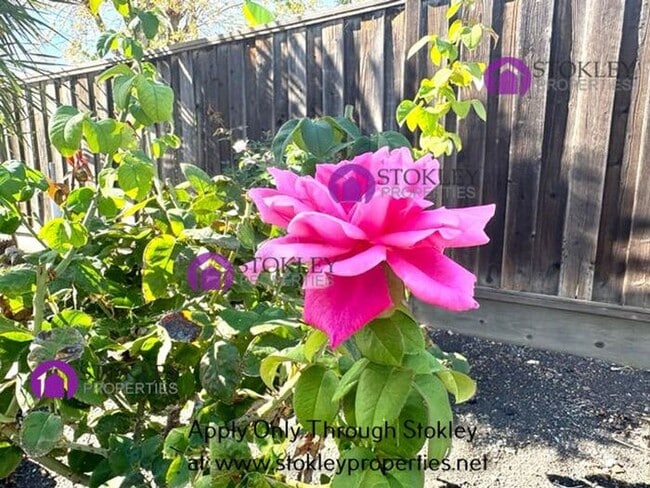 Building Photo - 1875 Queens Rd