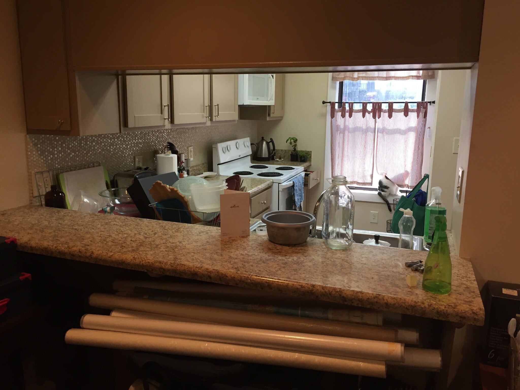 Kitchen - 129 Greengate Court