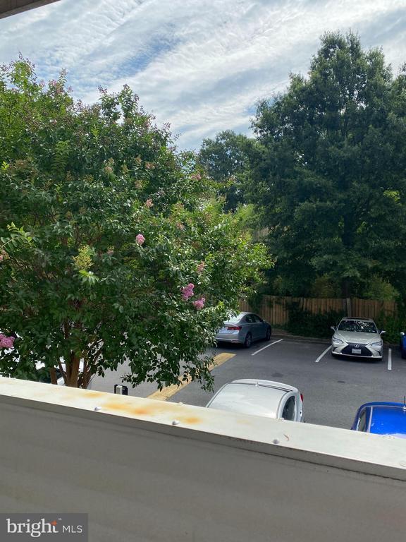 Building Photo - 5606 Bloomfield Dr