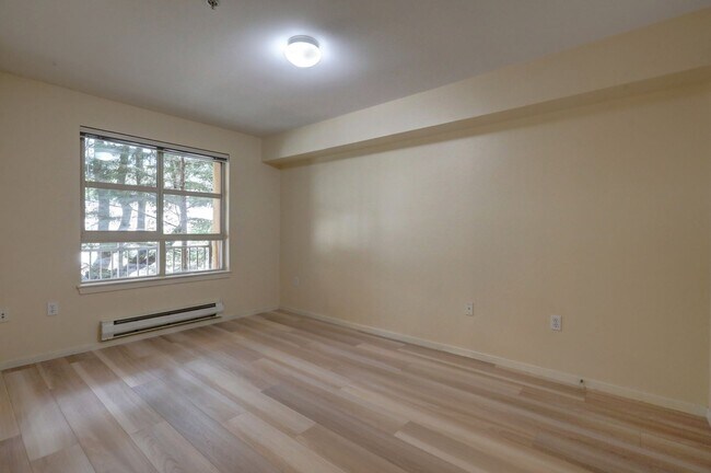 Building Photo - Downtown Bellevue One Bedroom One Bath Condo Available!