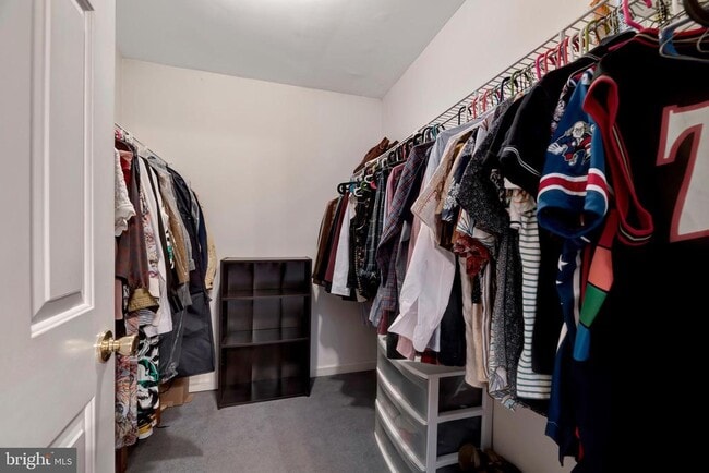 Building Photo - 817 N Harrison St