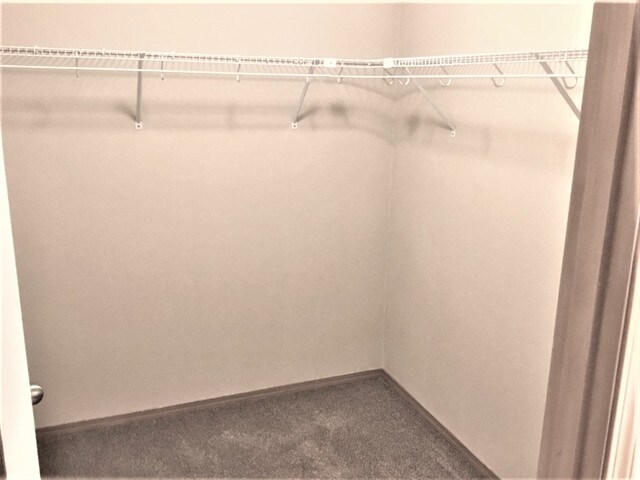 Building Photo - 467 Whitney Dr