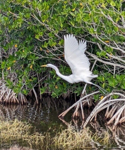 Building Photo - 545 SE 4th Terrace