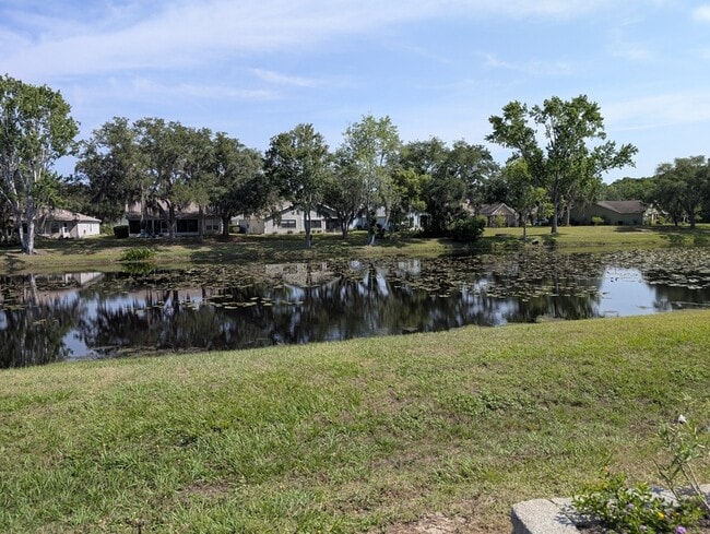 Building Photo - 9815 E Pebble Creek Ct