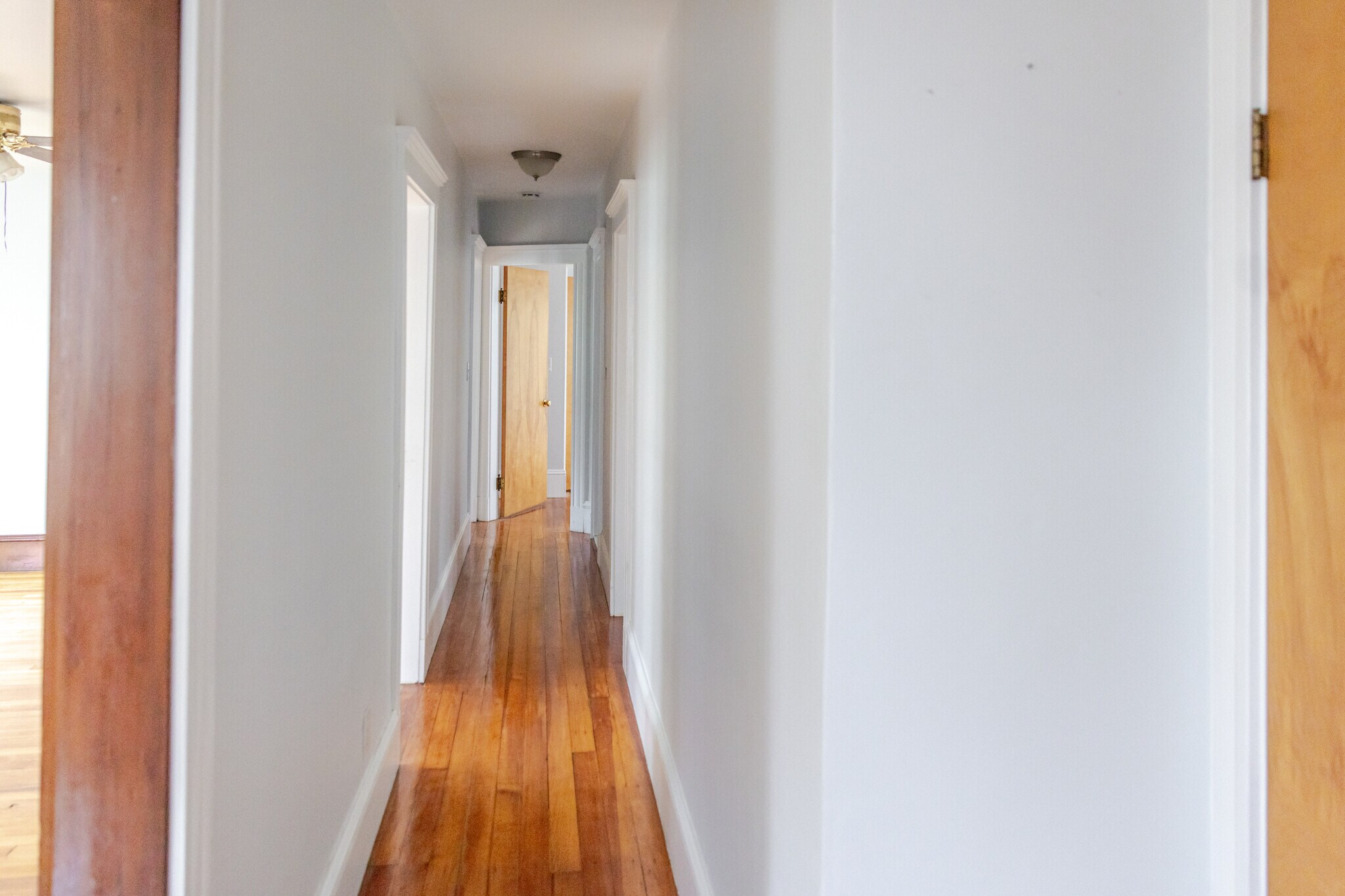 Building Photo - 241 Boylston St