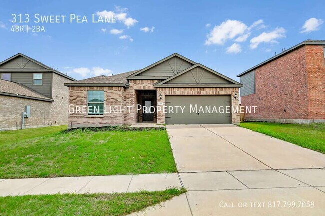 Building Photo - 313 Sweet Pea Ln