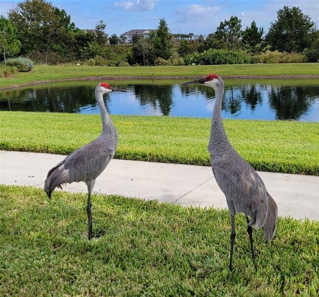 Building Photo - 9753 Lost Creek Dr