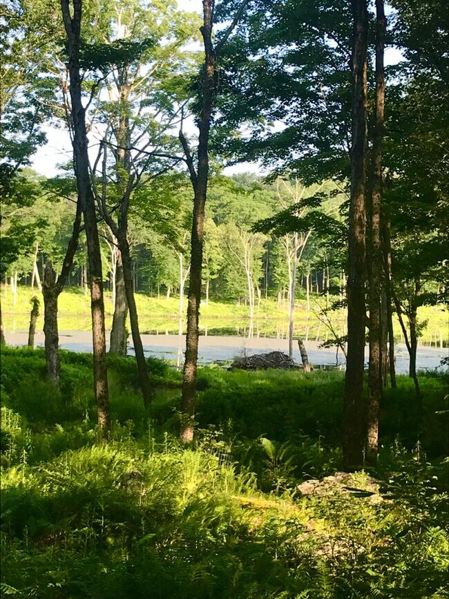 Building Photo - 296 Brick School Rd