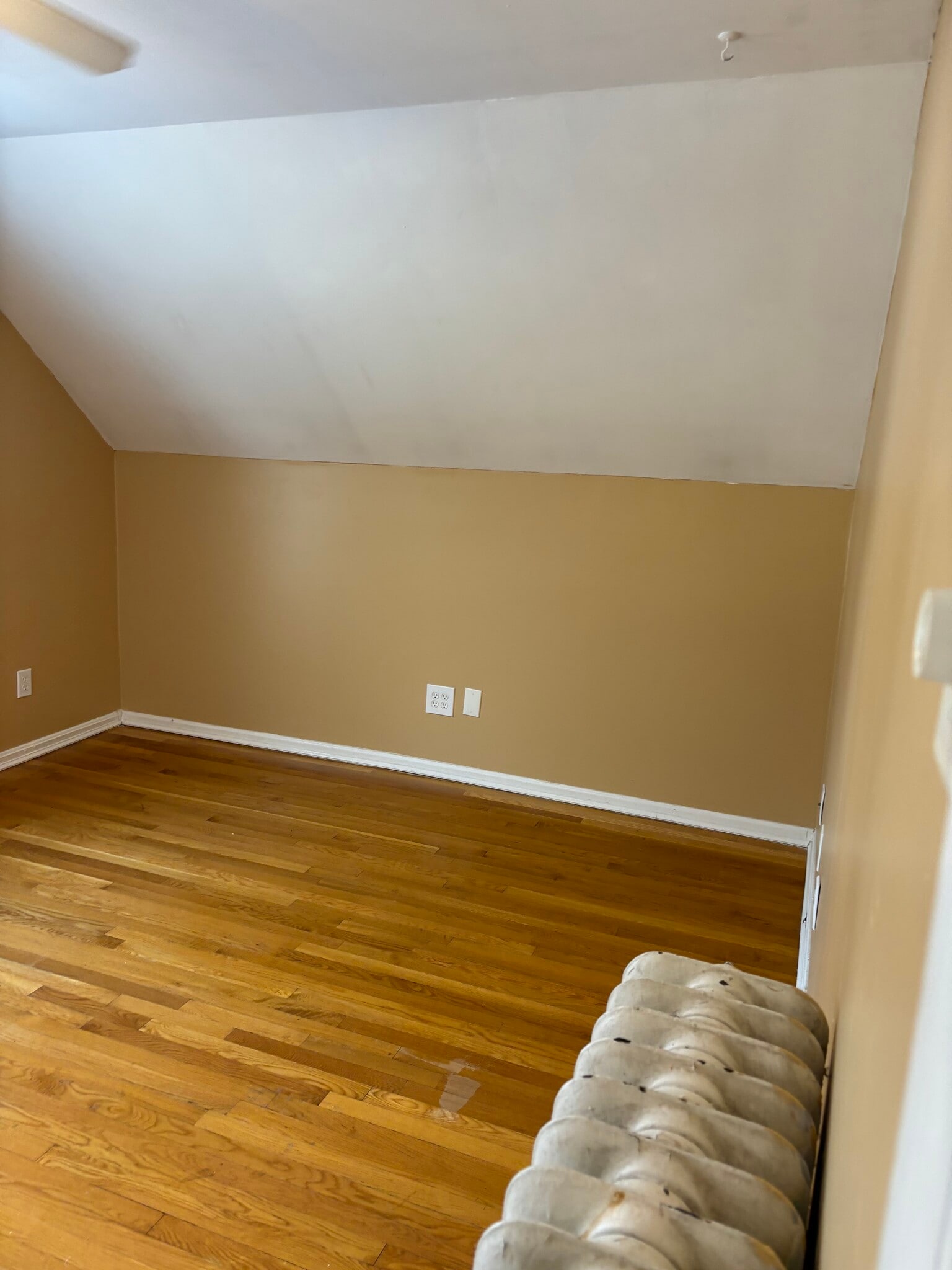 Building Photo - 246 Shaw St