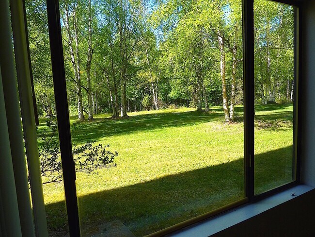 Building Photo - Deluxe One Bedroom in South Anchorage on the Creek