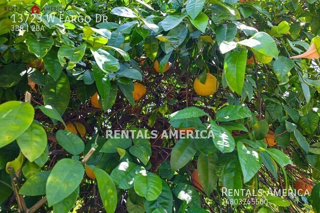 Building Photo - Charming 3BR/2BA Home in Surprise