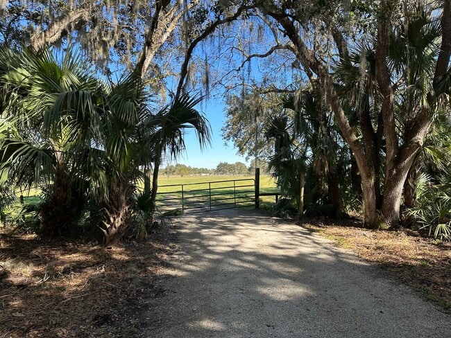 Building Photo - 4502 Wild Turkey Trail