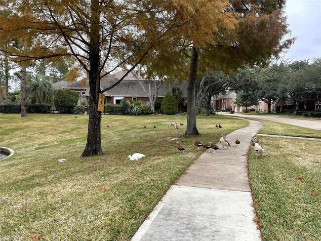 Building Photo - 5622 Lake Pl Dr