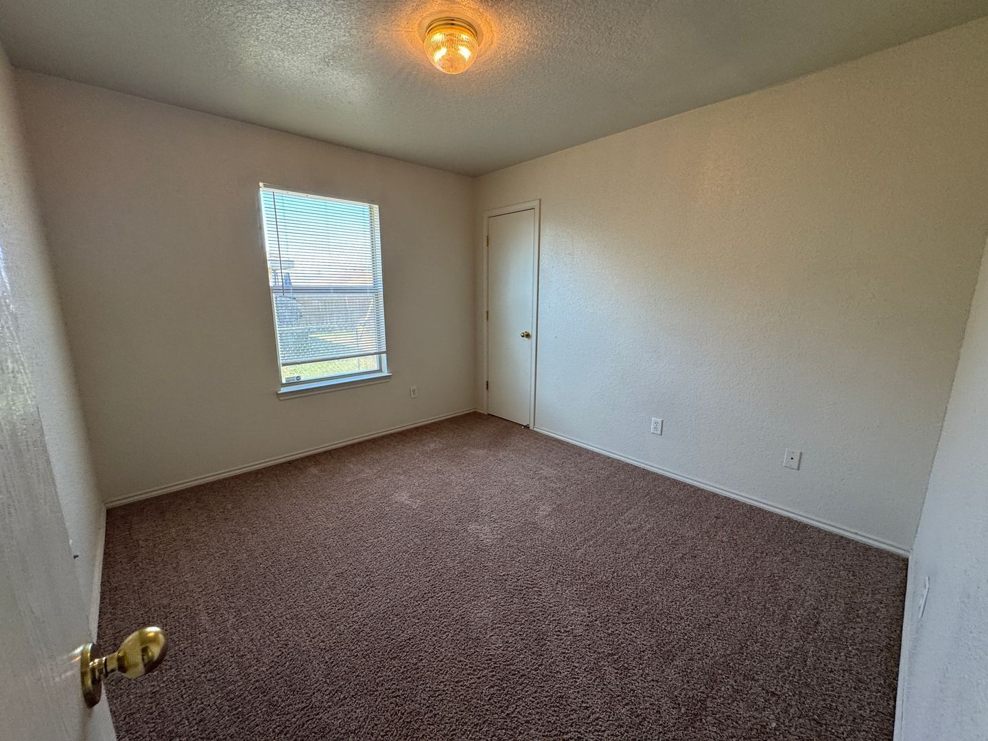 Building Photo - 2801 Alma Dr