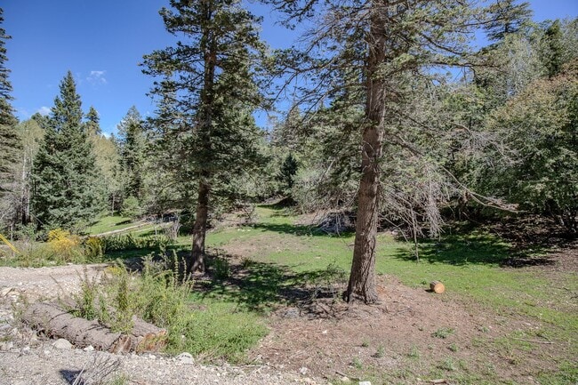 Building Photo - Beautiful New Construction Mountain Retreat