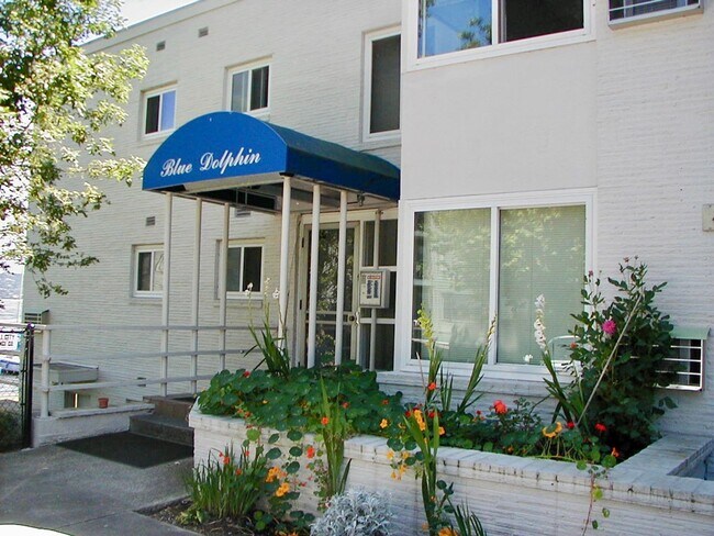 Interior Photo - Blue Dolphin