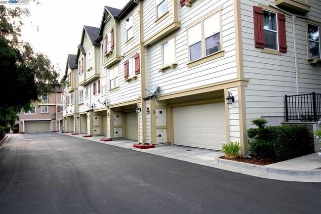 Building Photo - 467 Pariso Terrace