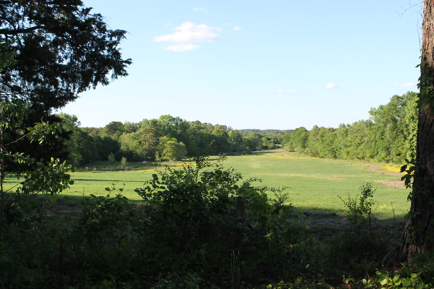 Building Photo - 166 Standish Ln